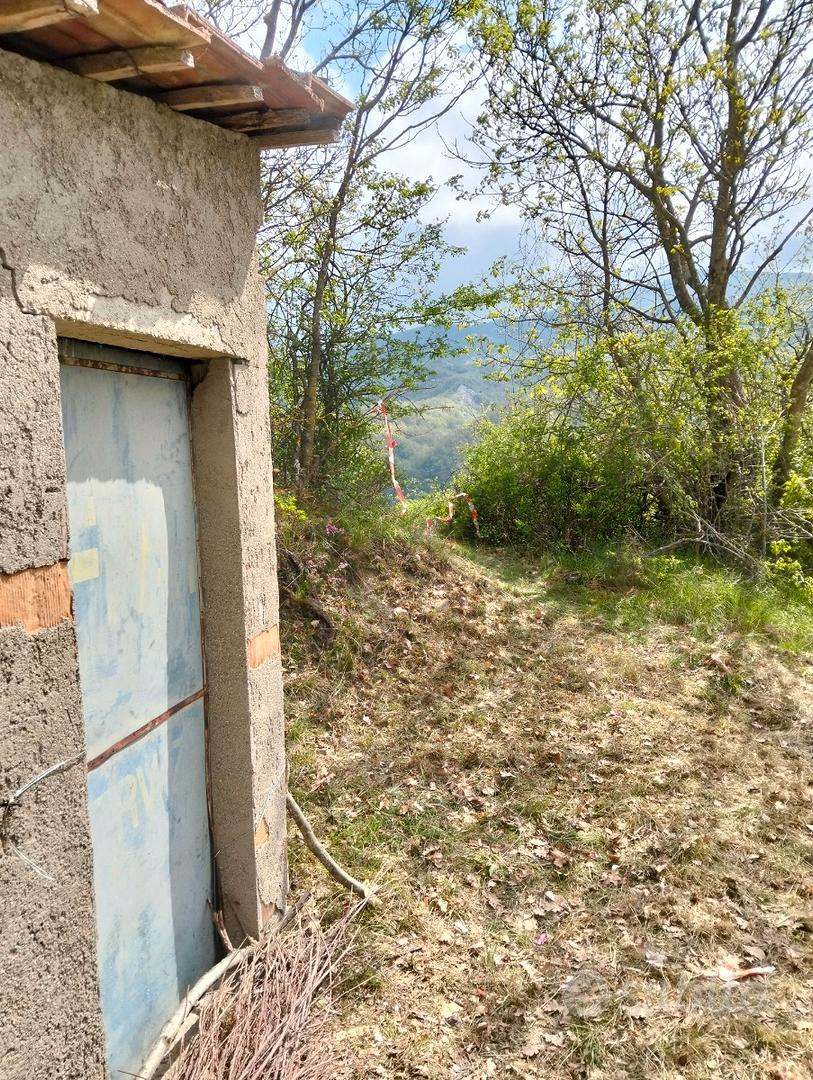 Capanno di caccia con terreno - Vista 2