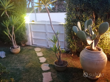 Les Siciliennes villas a Fontane Bianche Siracusa