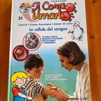 Esplorando il corpo umano le cellule del sangue