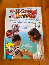 Esplorando il corpo umano le cellule del sangue