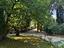 Immagine 25
