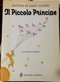 Libro illustrato Il piccolo principe