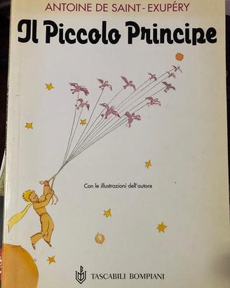 Libro illustrato Il piccolo principe