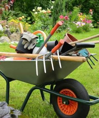 Piccoli lavori  giardinaggio