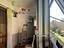 Immagine 11