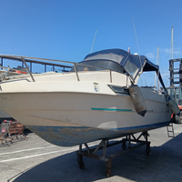 Semicabinato Saver manta 620
