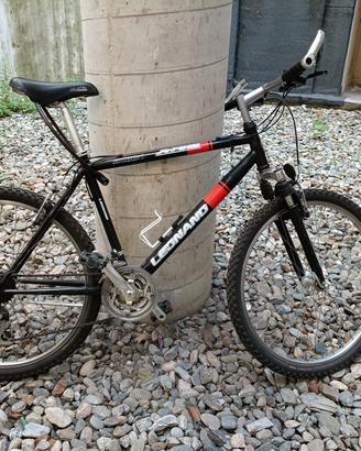 Millennium Bike 