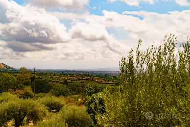 Casa vacanza sul etna