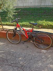 ALPINA MOUNTAIN BIKE 