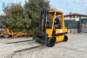 S155 Mulletto Detas 30 q