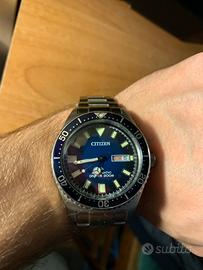 Citizen promaster