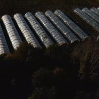 Serre con terreno e irrigazione a Campotto