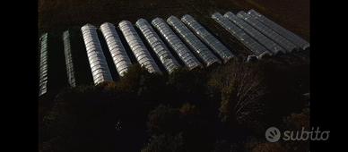 Serre con terreno e irrigazione a Campotto