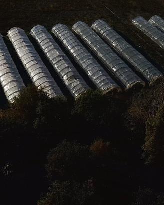 Serre con terreno e irrigazione a Campotto