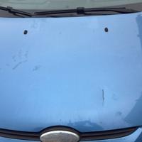 Cofano FORD FIESTA 2010 colore JA8 5porte motore R