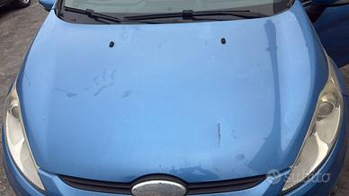 Cofano FORD FIESTA 2010 colore JA8 5porte motore R