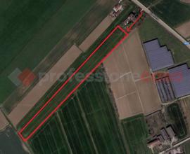 Terreno Agricolo Gazzo Veronese [Cod. rif 96VCG]