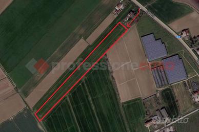 Terreno Agricolo Gazzo Veronese [Cod. rif 96VCG]
