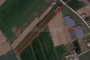 Terreno Agricolo Gazzo Veronese [Cod. rif 96VCG]
