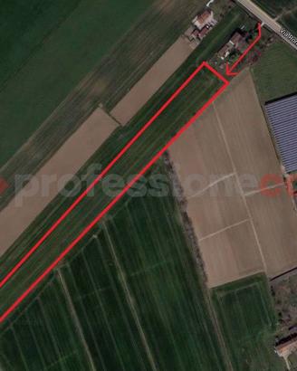Terreno Agricolo Gazzo Veronese [Cod. rif 96VCG]