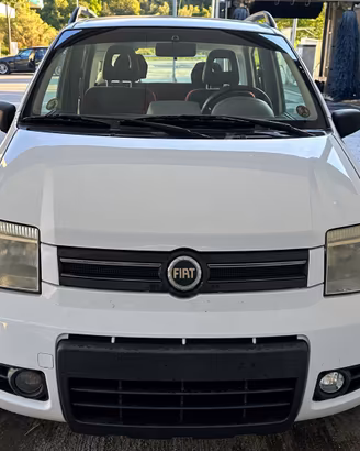 Panda 4x4