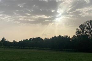 SALA BAGANZA (PR) -TERRENO AGRICOLO (3 ETTARI)