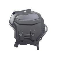 COPERCHIO TESTATA CARBONIO MULTISTRADA V4 V4S 2025