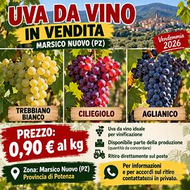 Uva da vino