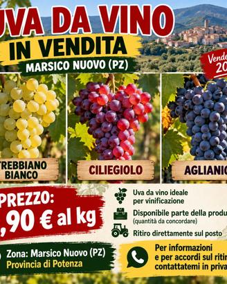 Uva da vino