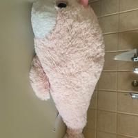Peluche delfino