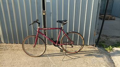 Bicicletta mountain bike