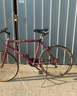 Bicicletta mountain bike