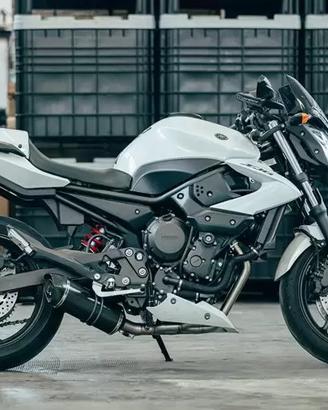 Doublefire Carbon Roadsitalia Yamaha XJ6/Diversio