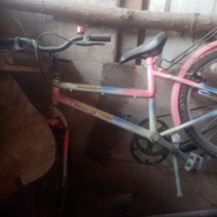 Bici da bimba