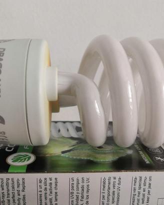 Lampada Drago Lux Compact FOREST, medium UVB