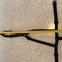 Pettorina antifugina per levrieri