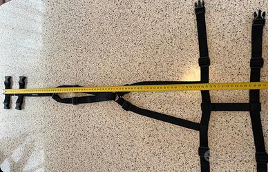 Pettorina antifugina per levrieri