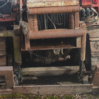 Verricello forestale offer