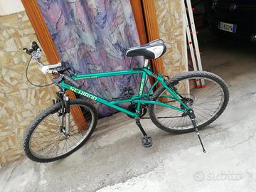 Bici Schiano