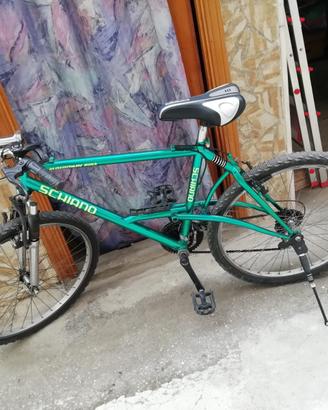 Bici Schiano