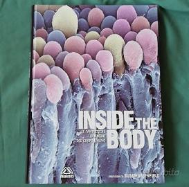 Libro sul corpo umano " Inside the body"