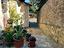 Immagine 5
