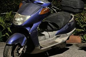 Honda Foresight 250