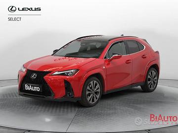 Lexus UX 300h 2.0 F-Sport 4wd cvt