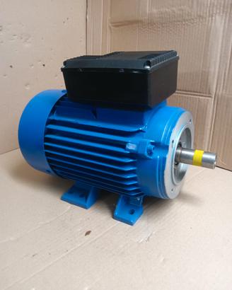 Motore elettrico  220volt