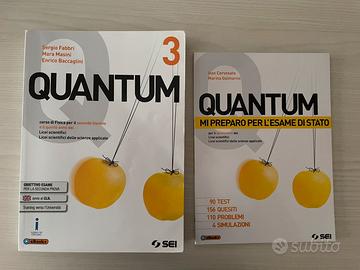 QUANTUM 3