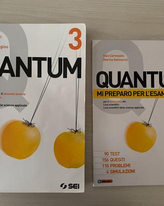 QUANTUM 3