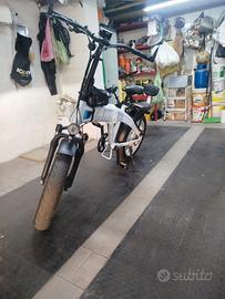 Bici elettrica Icone 250W