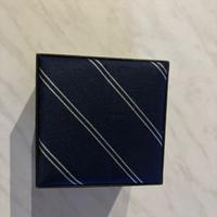 Cravatta Enrico COVERI