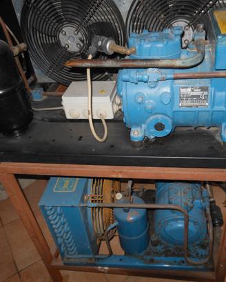 COMPRESSORI FRIGO